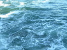 DSCN7632