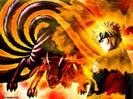 images (48)