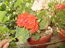 P9300052
