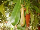 P9300054