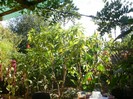 P9300055