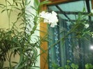P9300057