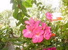 P9300058