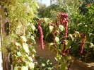 P9300062