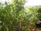 P9300086