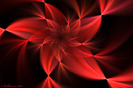 Red_Flower_Wallpaper_by_Colliemom