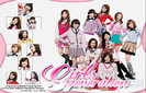 snsd wallpaper -6