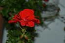 DSC04370
