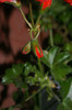 DSC04371