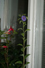 DSC04378