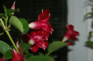 DSC04389