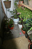 DSC04390