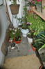 DSC04391