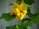 DSC00547