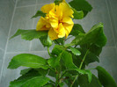 DSC00549