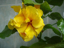 DSC00553