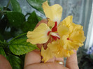 DSC00554