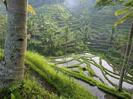 most-amazing-photos-ever20