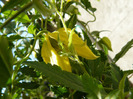 P1010871