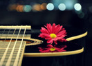 tumblr_lt4rs6CWXO1ql5ingo1_400_large