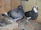 DSCN1038