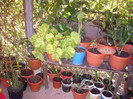 IMGP0797