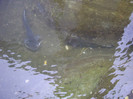 IMGP0809