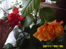 Picture 001