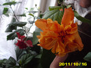 Picture 003