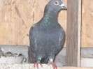 DSCN1276