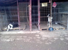 Picture 366