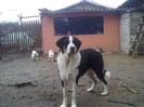 MOLDA