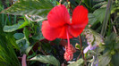 octombrie 2011 053