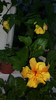 octombrie 2011 167