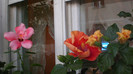 octombrie 2011 197