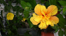octombrie 2011 230