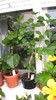 octombrie 2011 239
