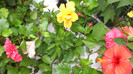 octombrie 2011 253