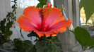 octombrie 2011 256