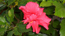 octombrie 2011 274