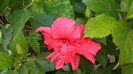 octombrie 2011 275