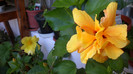 octombrie 2011 297
