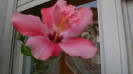 octombrie 2011 394
