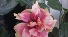 octombrie 2011 423