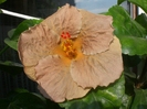 octombrie 2011 429