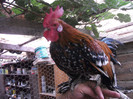 DSCF0198