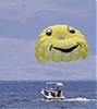 48862153_QAPGDKNCU