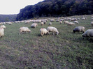 DSC01878