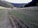 DSC01882