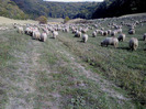 DSC01884
